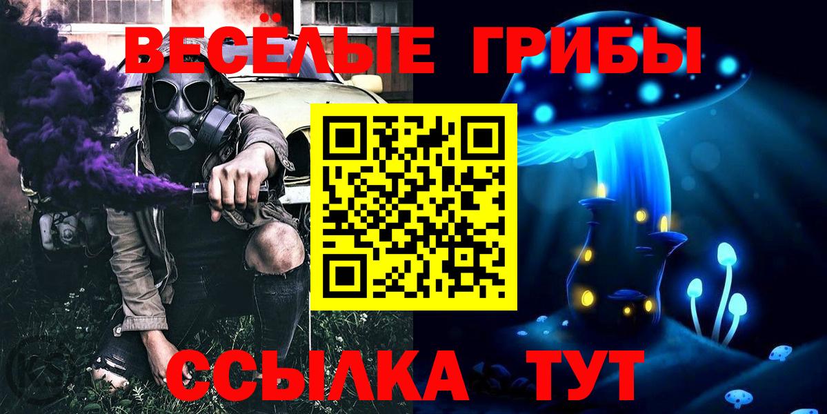 Псилоцибиновые грибы MAGIC MUSHROOMS  Вход с VPN  Дубна 