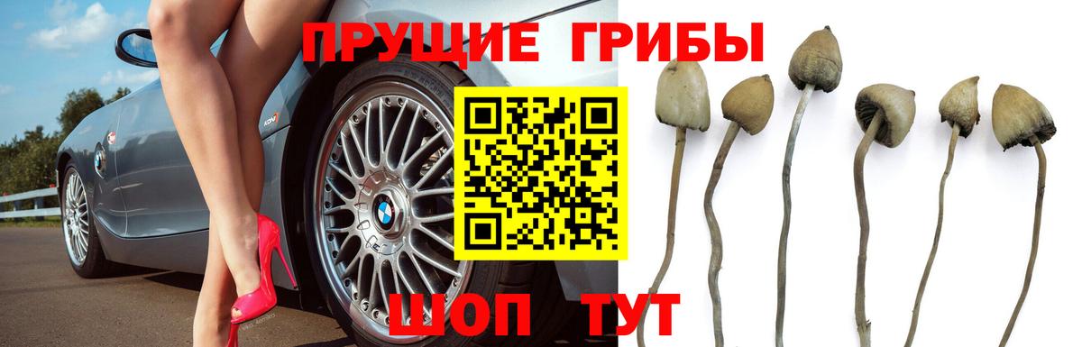 Alpha PVP СК кристаллы  LSD-25  NBOMe  Канабис  МЕФ  Гашиш  Дубна  Вход с VPN  Меф МЯУ МЯУ  