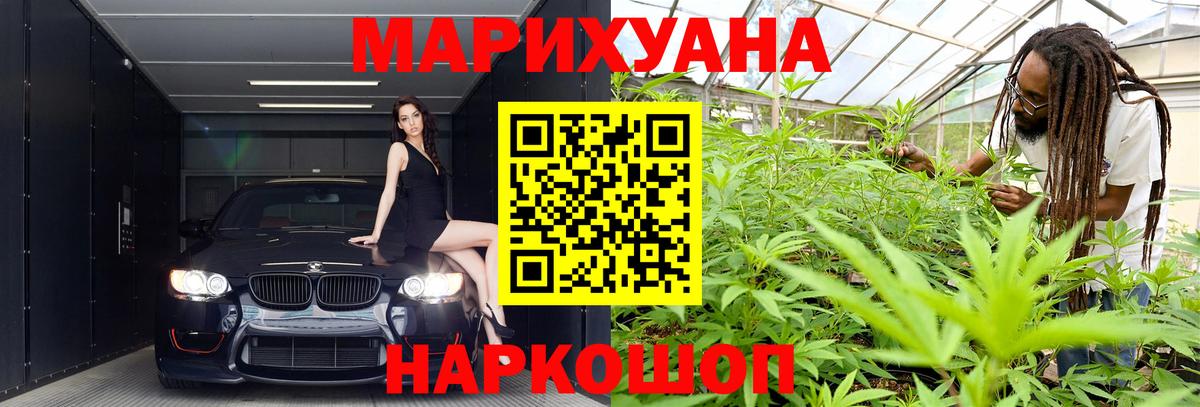 Каннабис MAZAR Дубна